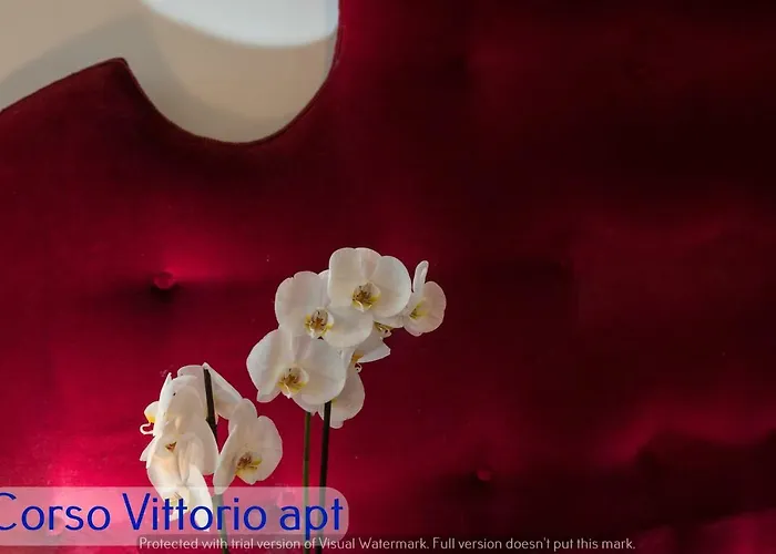 דירה Corso Vittorio רומא